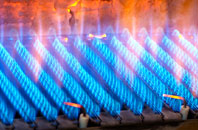 Manadon gas fired boilers